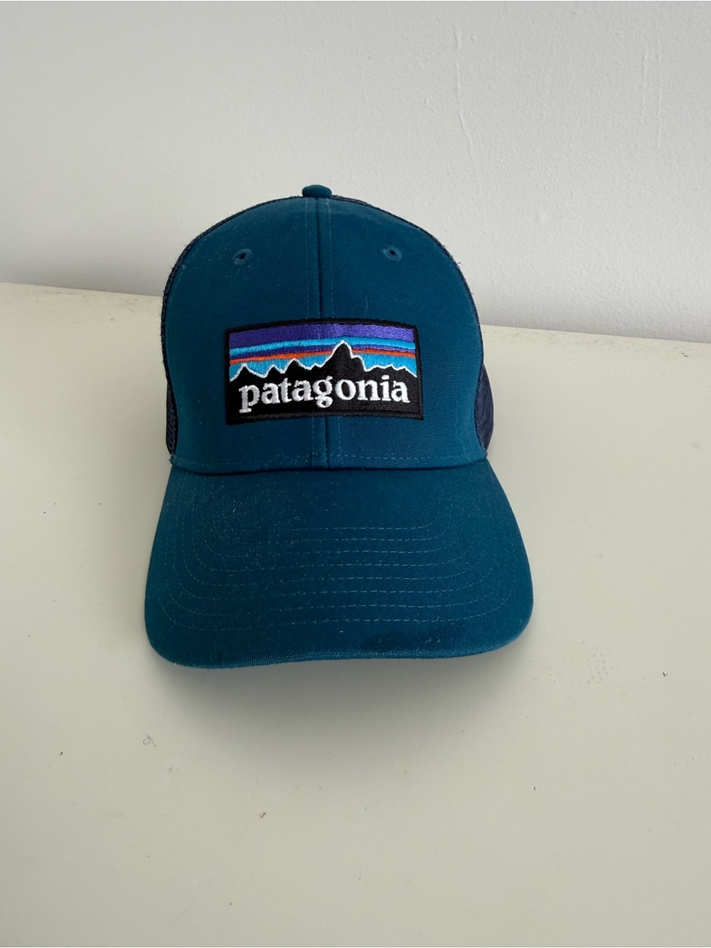 Patagonia Trucker Hat